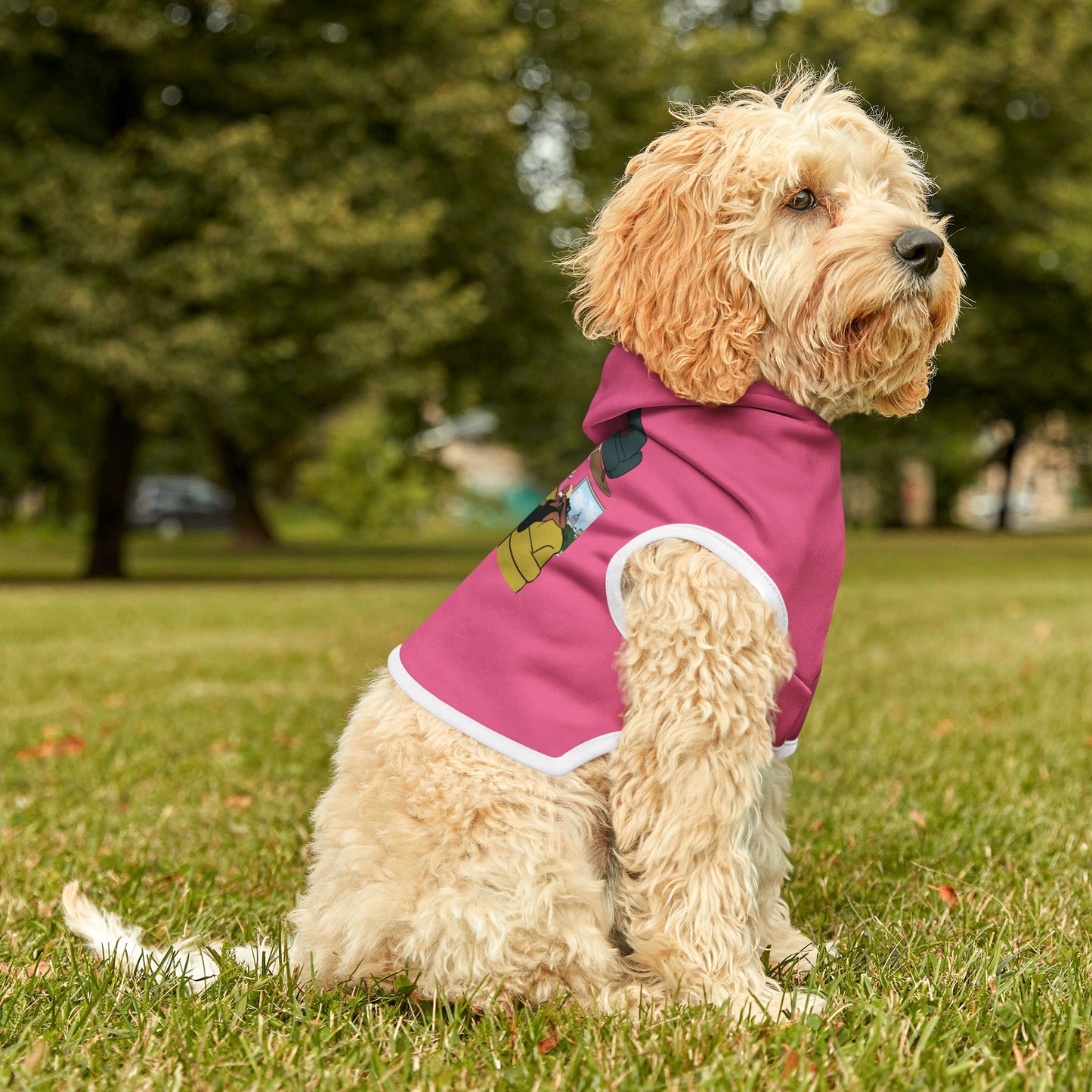 WAITJ Pet Hoodie