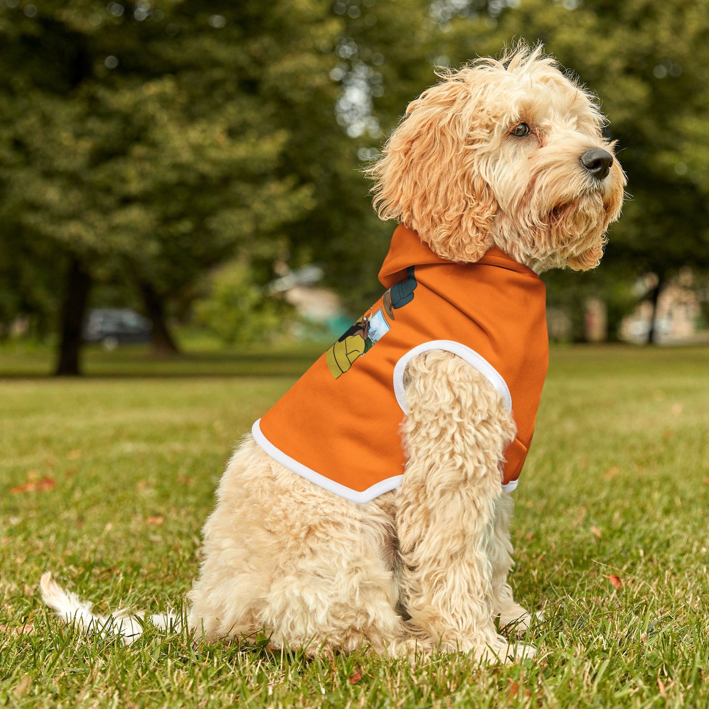 WAITJ Pet Hoodie