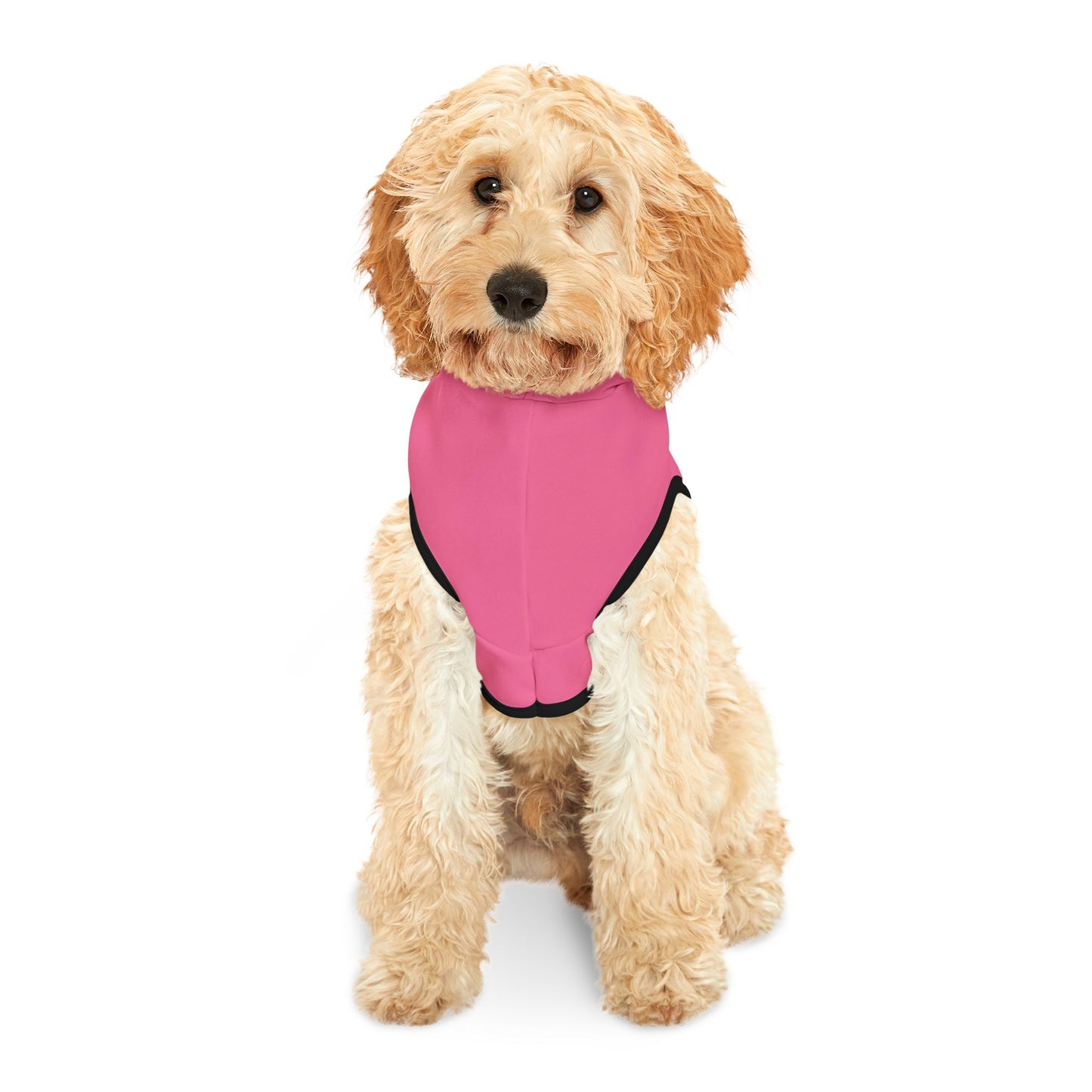 WAITJ Pet Hoodie